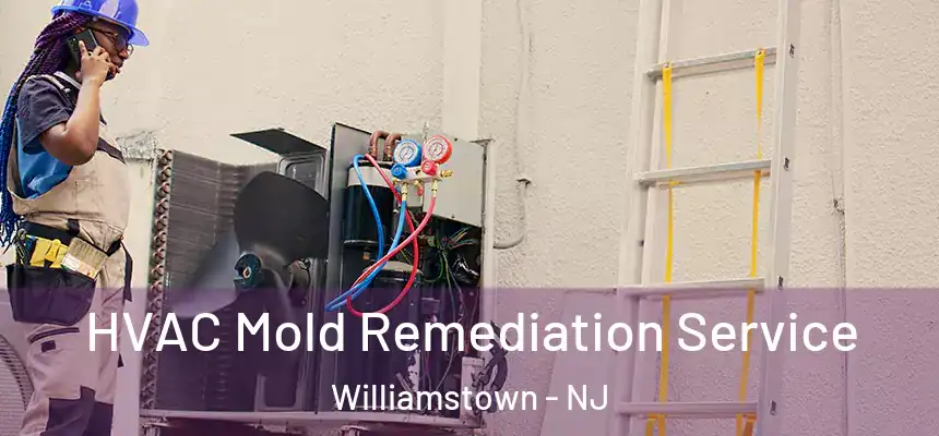  HVAC Mold Remediation Service Williamstown - NJ