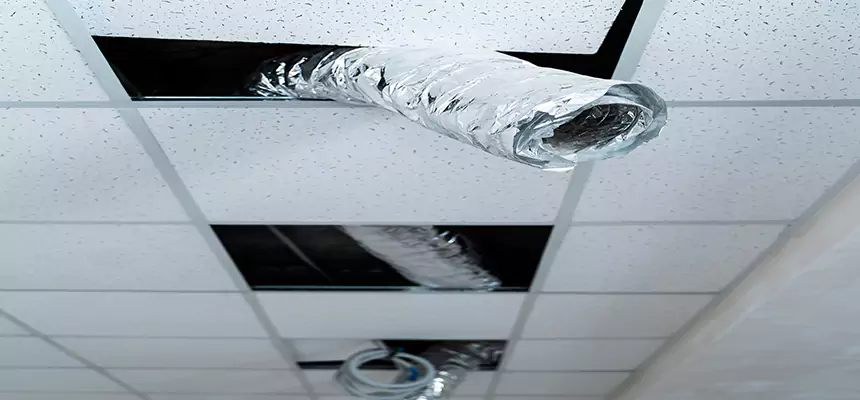 Our Air Duct Pet Hair Removal Services in Williamstown, NJ