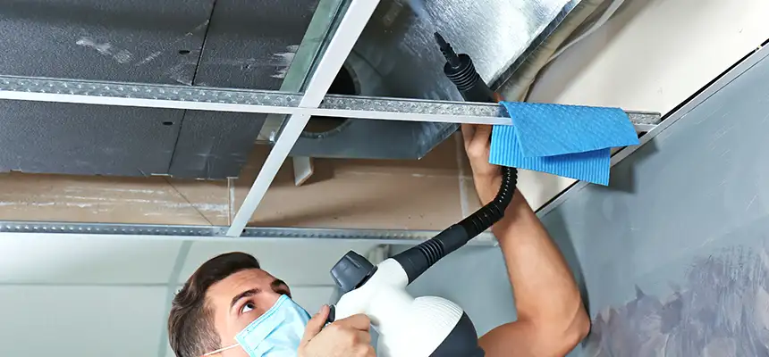 Our Air Duct Rodent Removal Services in Williamstown, NJ