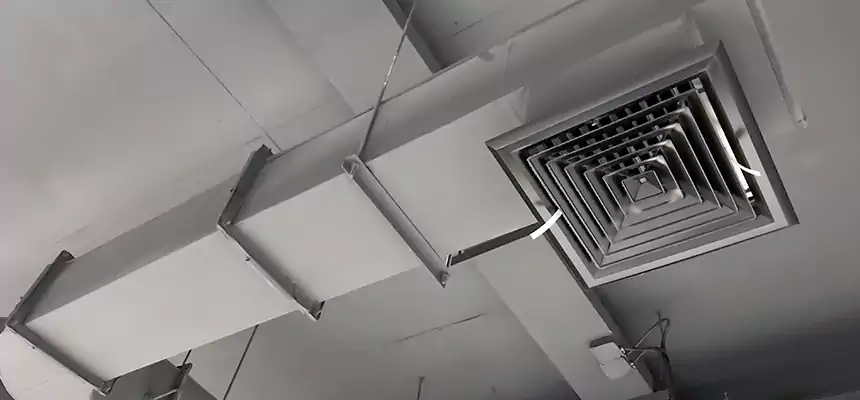 Our Pest Removal From Ducts Services in Williamstown, NJ