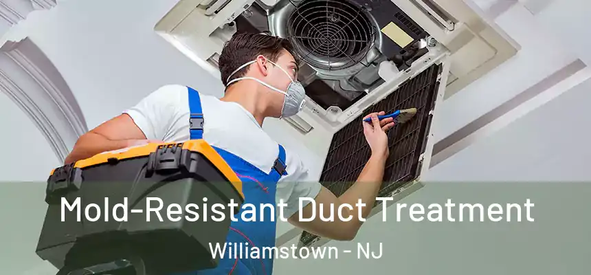  Mold-Resistant Duct Treatment Williamstown - NJ