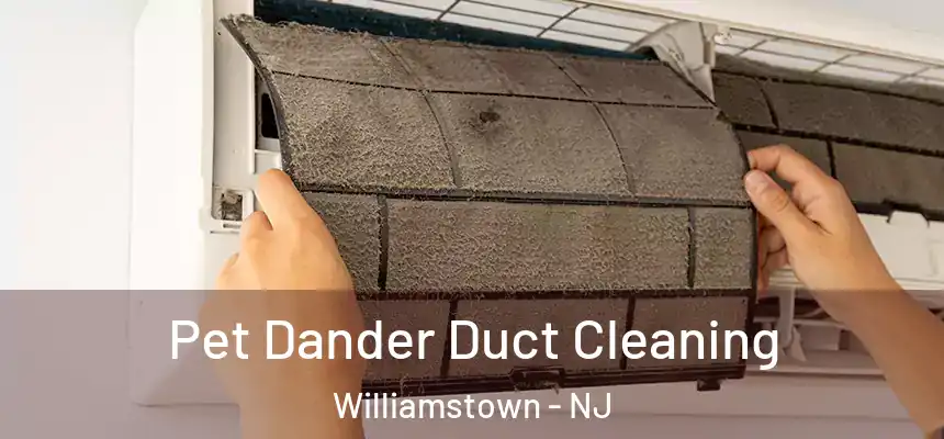  Pet Dander Duct Cleaning Williamstown - NJ