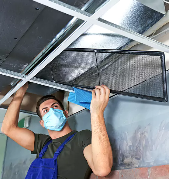 About Air Duct Bacteria Removal in Williamstown