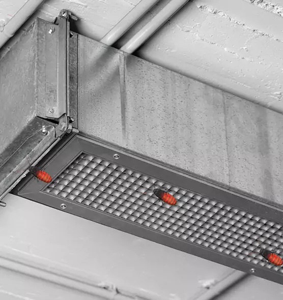 About Air Duct Cockroach Removal in Williamstown, NJ