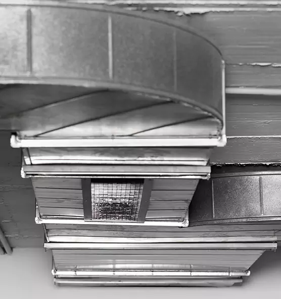 Professional Air Duct Pest Removal in Williamstown, NJ