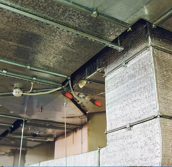 Why Homeowners & Businesses Trust Us in Williamstown, NJ?