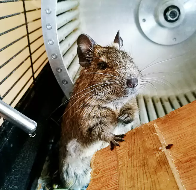 Why Homeowners & Businesses Trust Us Williamstown, NJ?